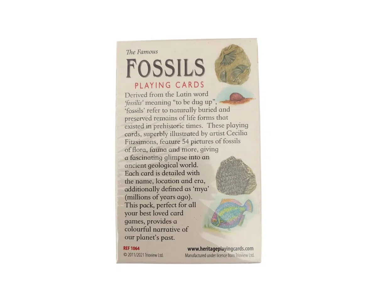 Fossil Box - Juego de regalo con tarjeta de información (caja de fósil)