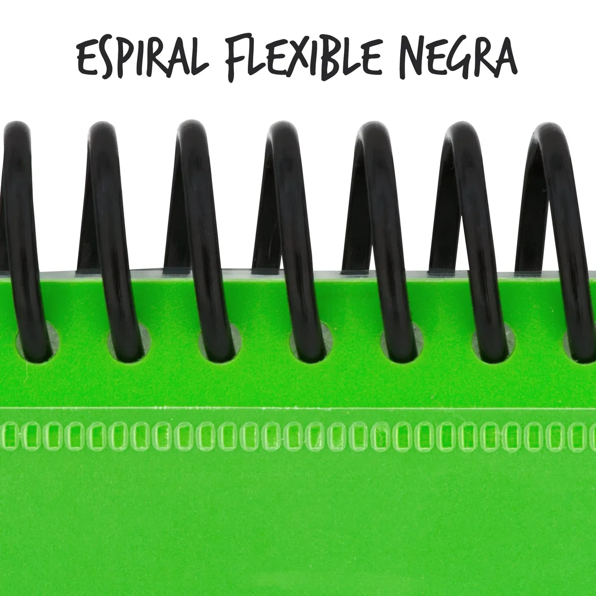 Starplast Carpeta Con Fundas Espiral Flexible - 60 fundas transparentes, A4, cierre elástico, tapa polipropileno, portada personalizable, para uso Escolar y Oficina - color Verde