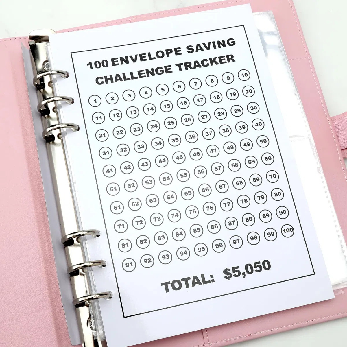 Envelope Challenge Binder, Sobres Challenge Binder, Divertida carpeta presupuestaria para ahorrar €5,050 con sobres de dinero, desafío para planificadores de presupuestos (rosa)