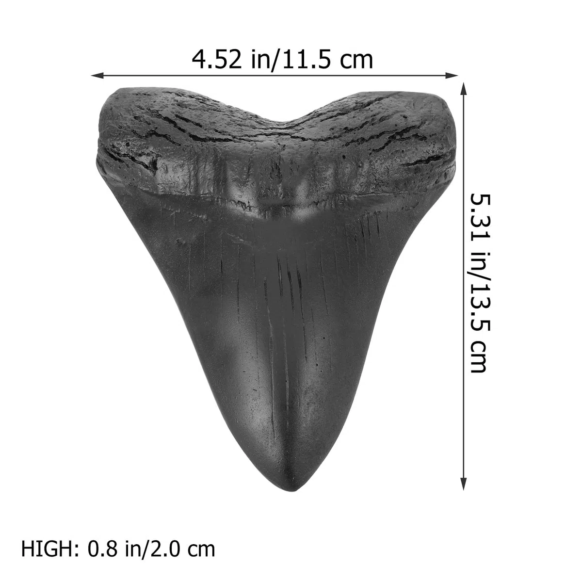 Réplica de Diente Gigante de Megalodón en Resina Negra Realista para Colección y Ornamentación Única de Paleontología