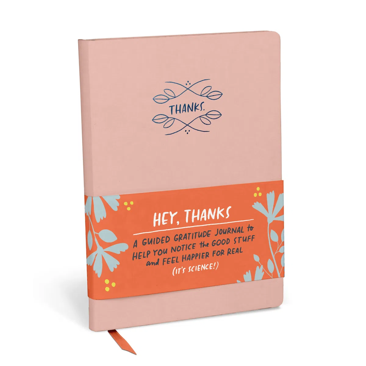 Em & Friends Hey, Thanks: A Guided Gratitude Journal Guided Journals: A Guided Gratitude Journal & Mindfulness Journal (Em & Friends Guided Journals)