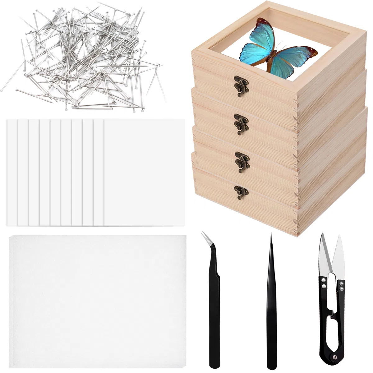 Kit de Herramientas para Muestras de Insectos 4 Cajas de Madera 10 Hojas de Papel de Calco 200 Alfileres de Insectos 2 Tablas de Montaje de Mariposas Hechas de Espuma EVA para Colección
