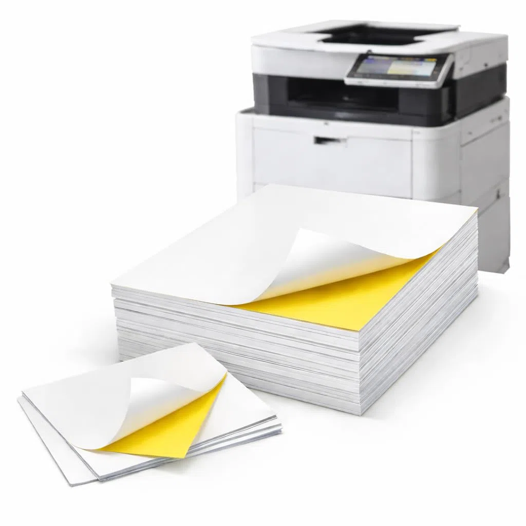 50 x Hojas Adhesivas DIN A3 Blancas para Impresora Láser Color o Blanco y Negro, Imprimir Fotos o Stickers