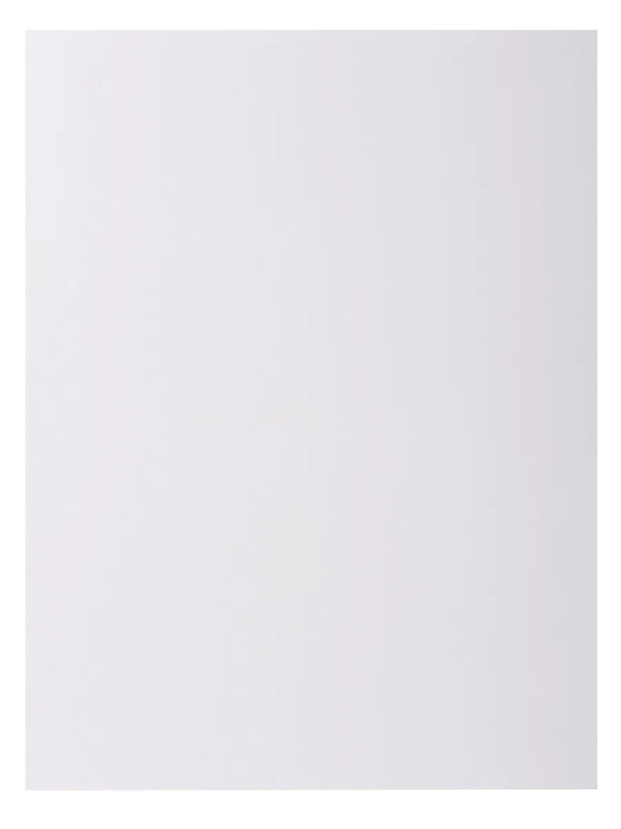 Exacompta 800017E - Lote de 100 Subcarpetas Rock"S 80, Color Blanco