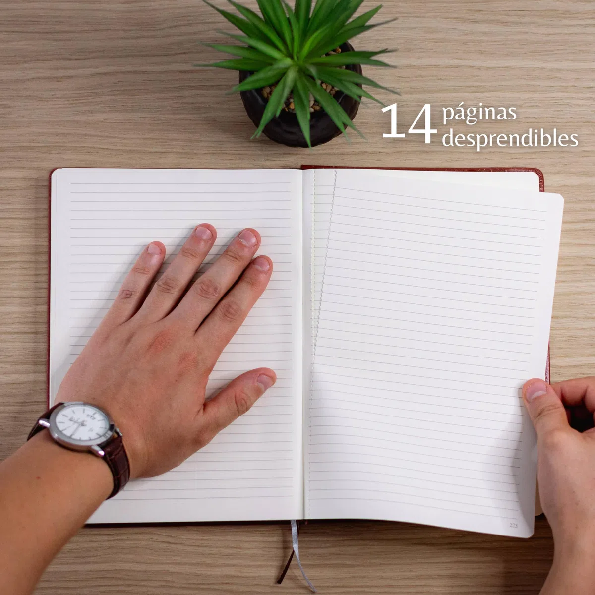 Cuaderno B5 con Rayas · Tapa Dura Vegana y Bolígrafo · 250 Páginas Numeradas con Índice · Cierre Elástico, Bolsillo Interior y Marcapáginas · Estuche Negro Mate para Regalo (R,V)