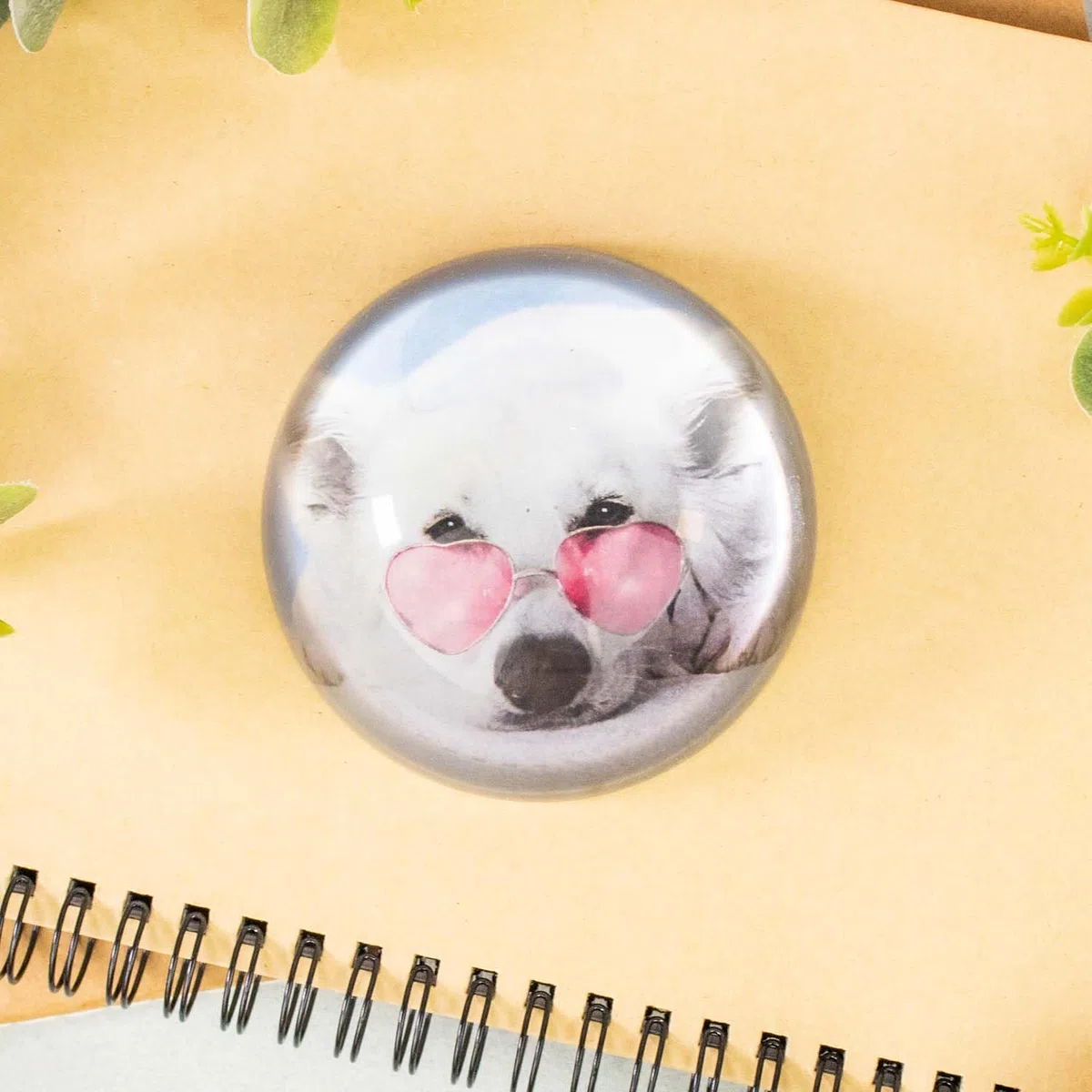 PROMO-SHOP Pisapapeles Ovalado Personalizado con la Foto que prefieras · Pisapapeles Decorativo de cristal con base plana aterciopelada · Incluye estuche de Regalo