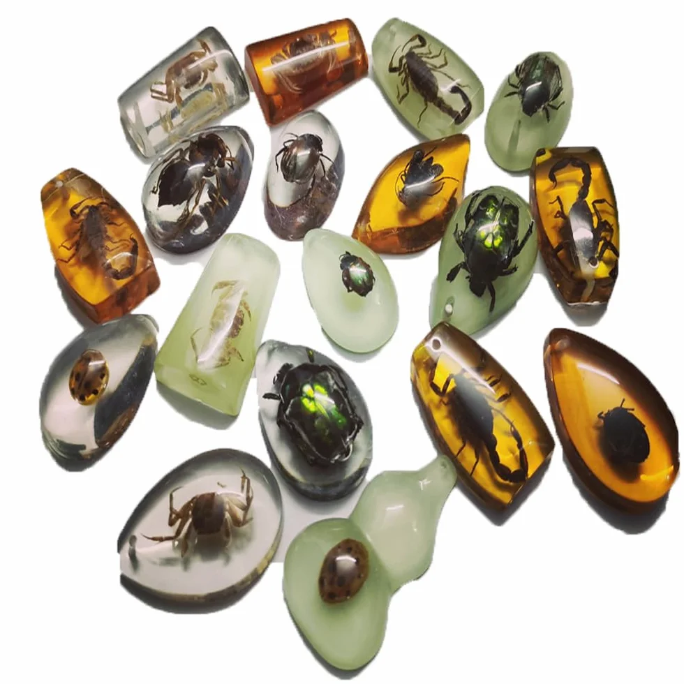18 piezas de fósiles de insectos de ámbar, colgantes de fósiles de ámbar, diferentes especímenes de insectos, insectos conservados en resina, juguete educativo para niños - Patrones aleatorios