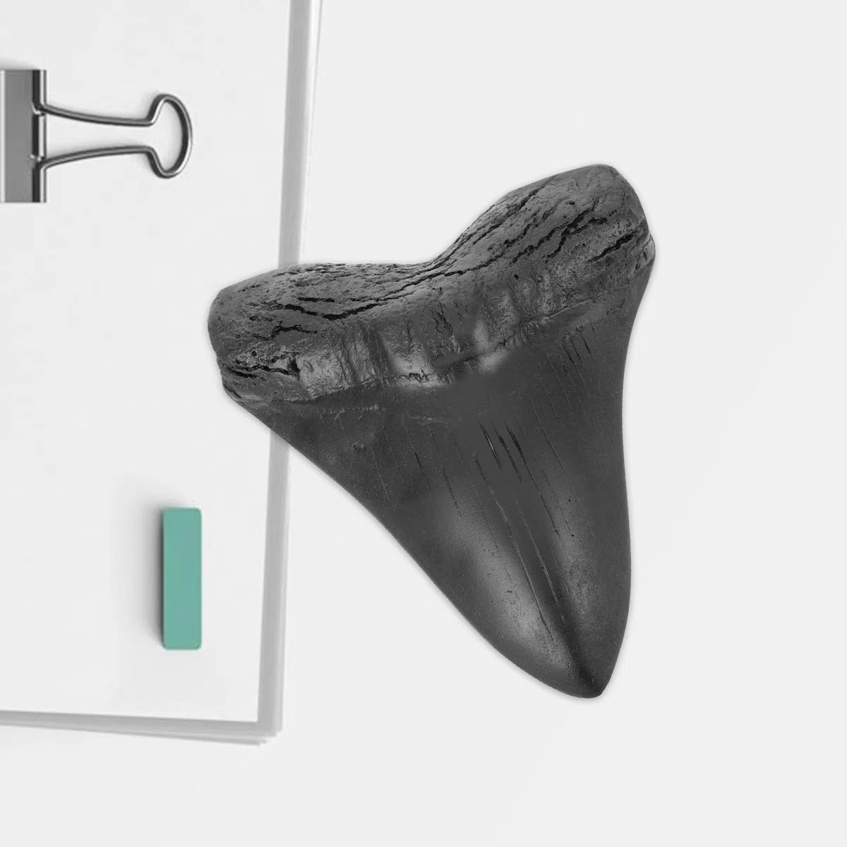 Réplica de Diente Gigante de Megalodón en Resina Negra Realista para Colección y Ornamentación Única de Paleontología