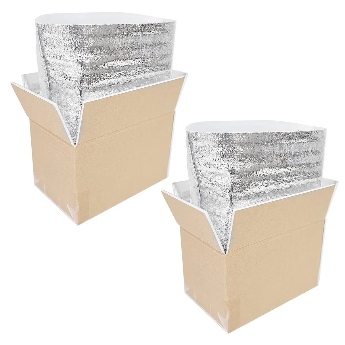 STRBOXONG Thermo Chill Doble Caja Aislada con Papel de Aislamiento, Caja Fría para Alimentos Congelados, Caja Fría para Envíos Postales, Envío Postal de Paquetes 250x155x140 mm (2 Piezas)