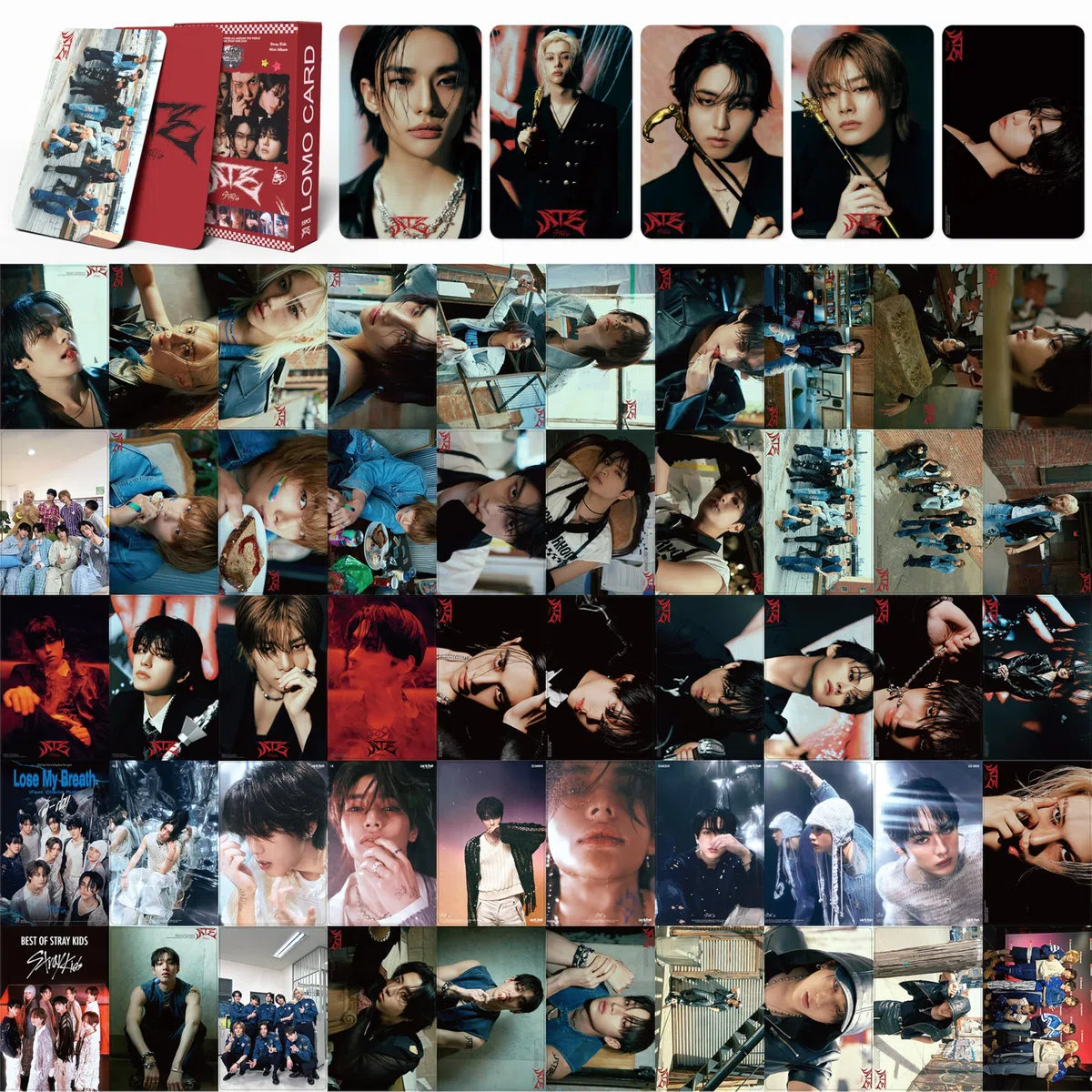 4 piezas/220 piezas de tarjetas fotográficas de Stray, SKZ con caja para tarjetas postales, merchandising de Kpop, regalos para STAY