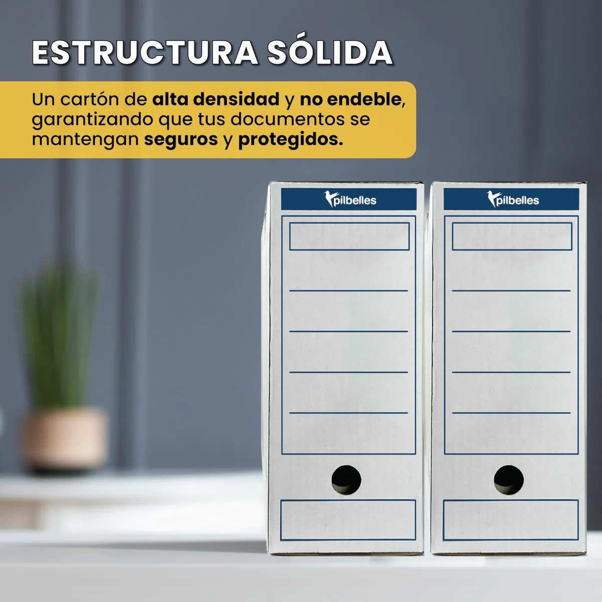 Archivador Definitivo 38x27x11,5 cm - 10 unidades - Archivadores de Oficina Caja de Archivo para Documentos