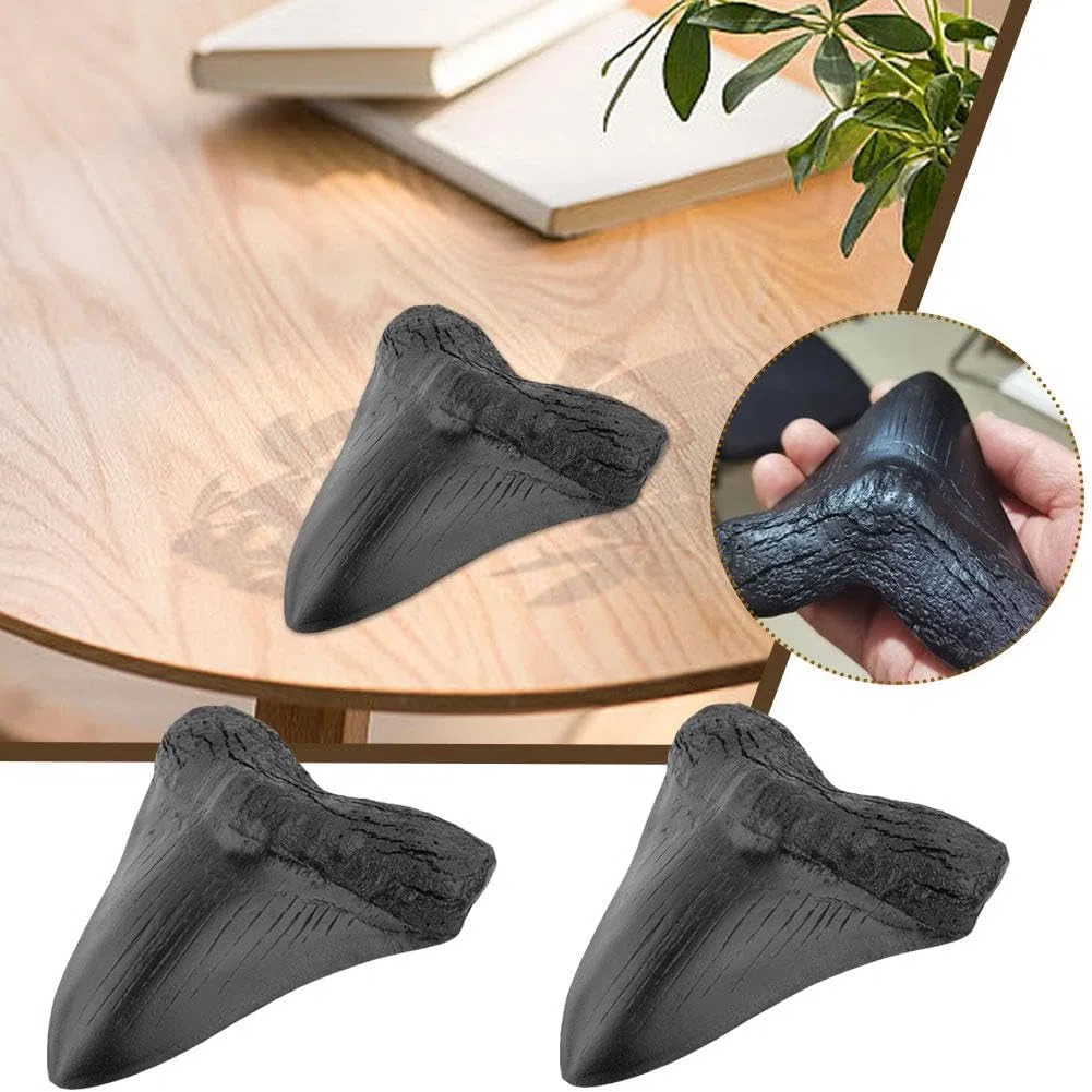 2 dientes de tiburón megalodon fosilizados naturales auténticos, reales prehistóricos