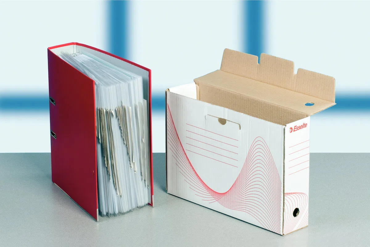 Esselte Group 20172 - Cajas de archivo (10 unidades), color blanco lomo 100mm, pack de 10