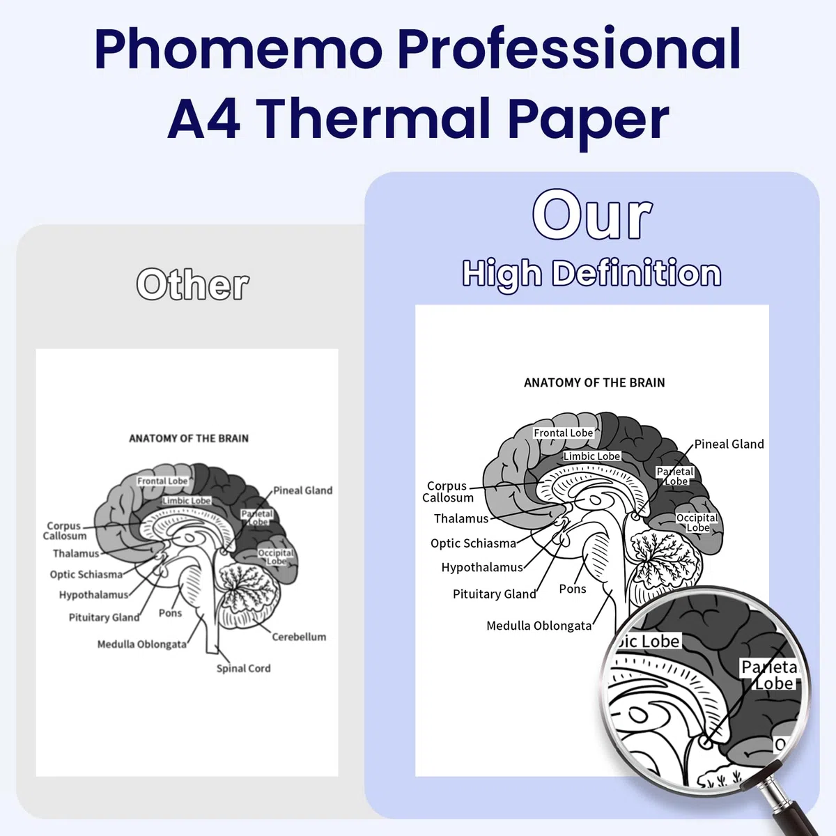 Phomemo A4 Impresora Papel, Papel Térmico Blanco de Secado Rápido para Impresoras Térmicas Portátiles A4 M08F/P831/M832/M833/M834/M835, 210mm x 297mm (8.27" x 11.69"), 100 Hojas/Caja