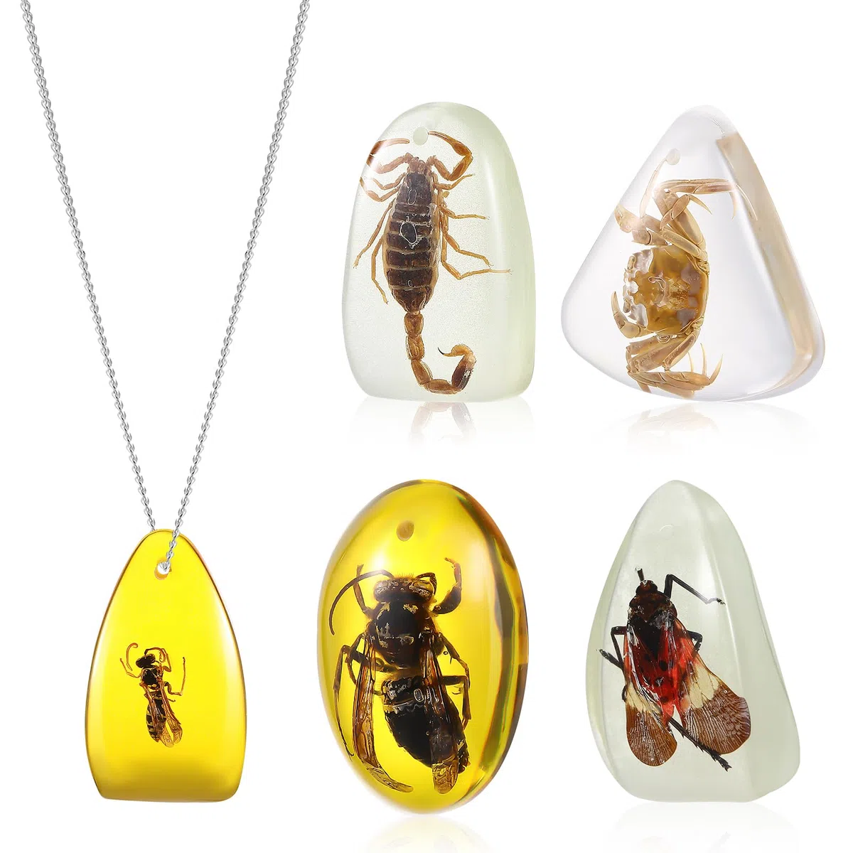 5 Colgantes de, Collares Colgantes patrón de Insectos en Piedras de Cristal muestras biología patrón Educativo Aleatorio