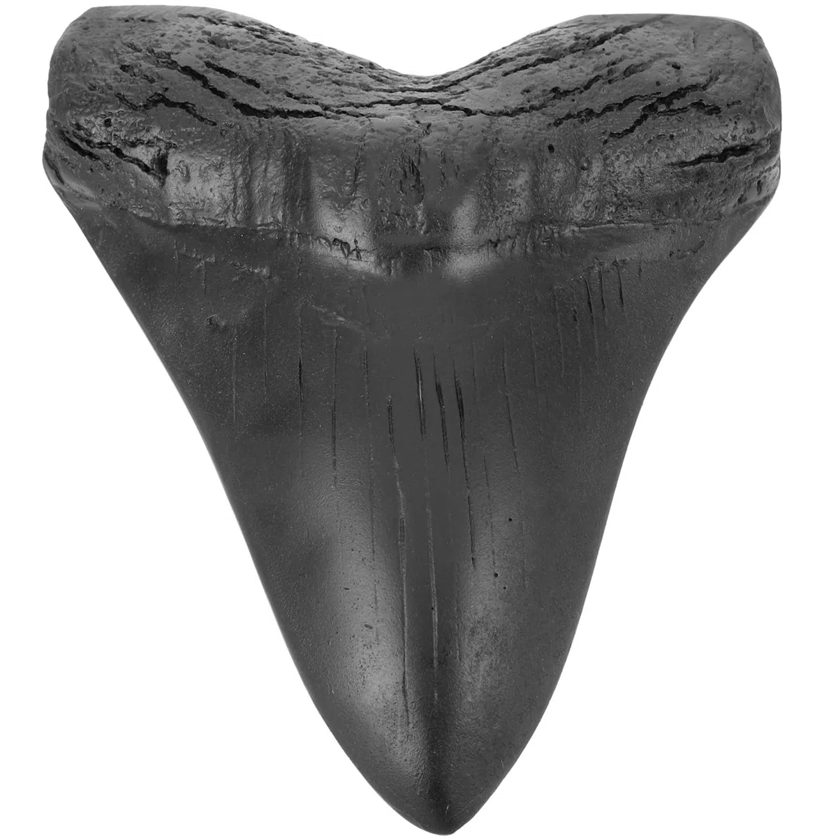 Réplica de Diente Gigante de Megalodón en Resina Negra Realista para Colección y Ornamentación Única de Paleontología