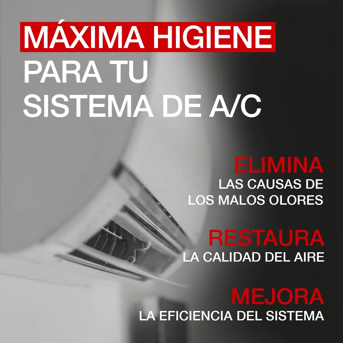 Errecom Power Clean - IN, Limpiador de Alta Presión para Aire Acondicionado, Bombona de 600mL