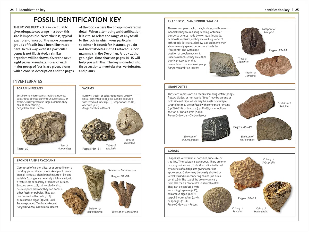 Fossils (DK Handbooks)