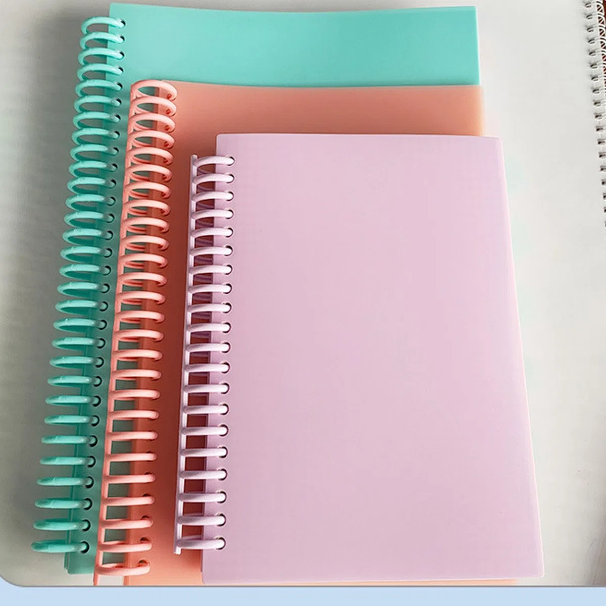 BORDSTRACT 14 Uds. de encuadernación con peine de 14 colores, capacidad de 150 hojas, calendario de cuaderno con peine de encuadernación de plástico PP de 19mm x 30 anillos