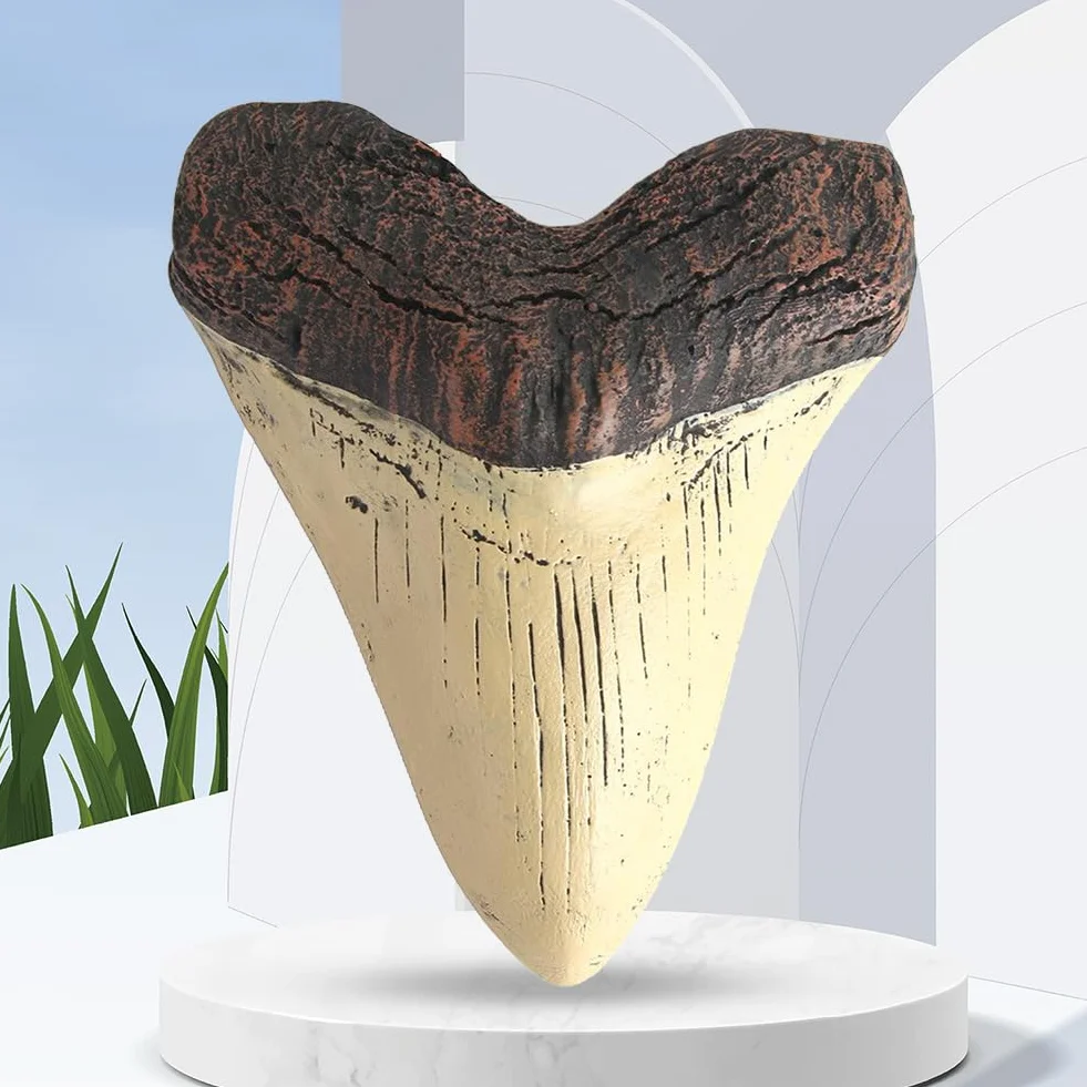 Diente de megalodón Gigante de 5 Pulgadas, réplica de Diente de tiburón fácil de Limpiar, decoración del hogar, Dientes de tiburón Beige, Accesorios de enseñanza de biología Marina fós