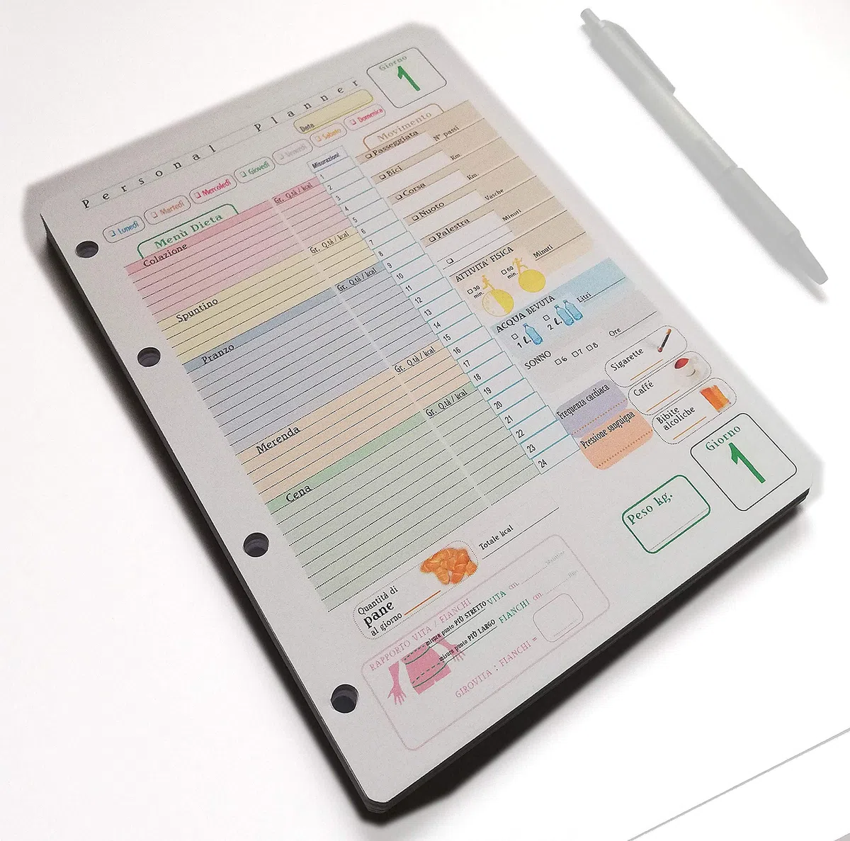 Recambio para agenda organizador "formato A5" con 4 anillas 14 x 20 cm (AgenDieta)