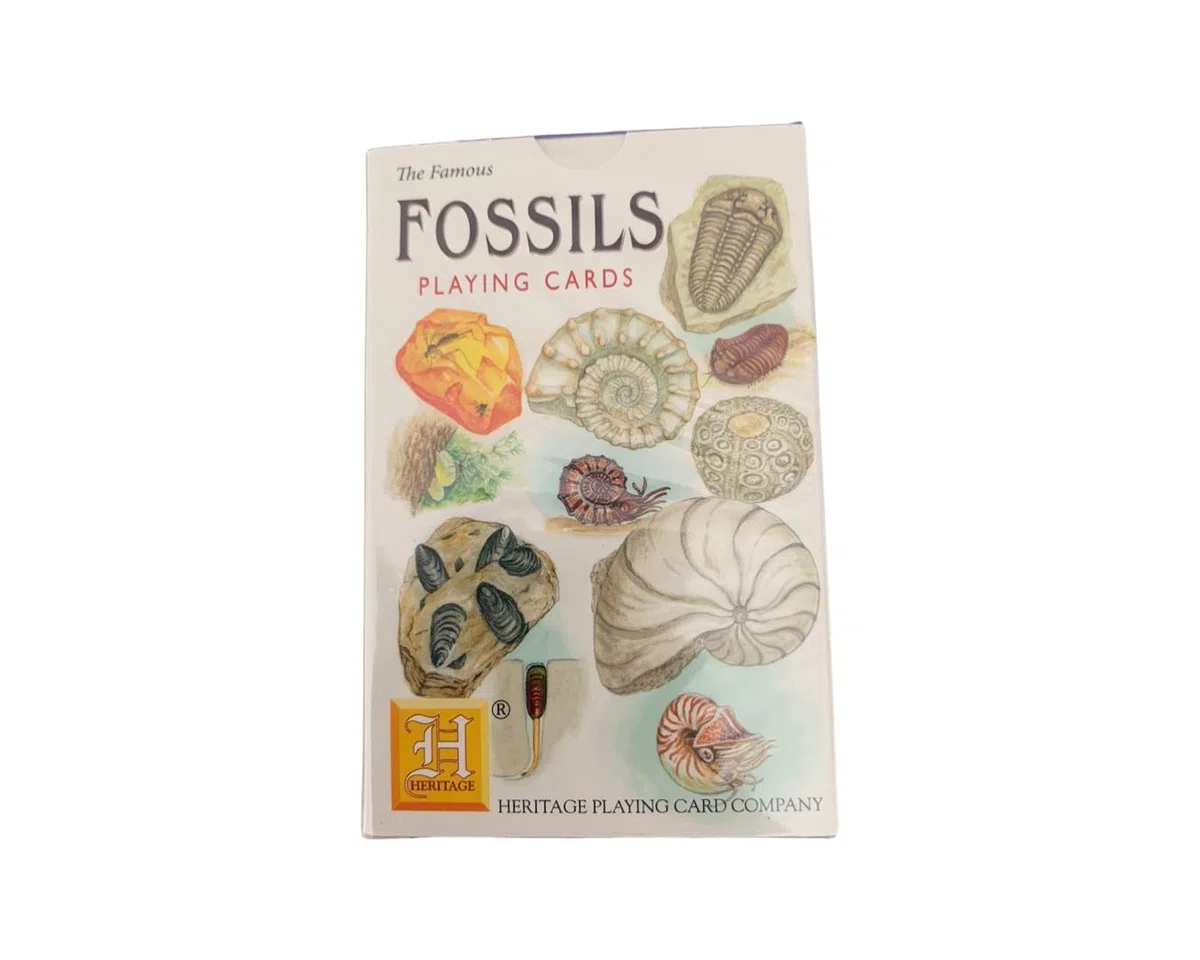 Fossil Box - Juego de regalo con tarjeta de información (caja de fósil)