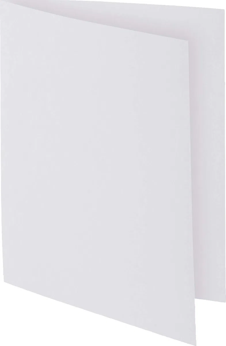 Exacompta 800017E - Lote de 100 Subcarpetas Rock"S 80, Color Blanco