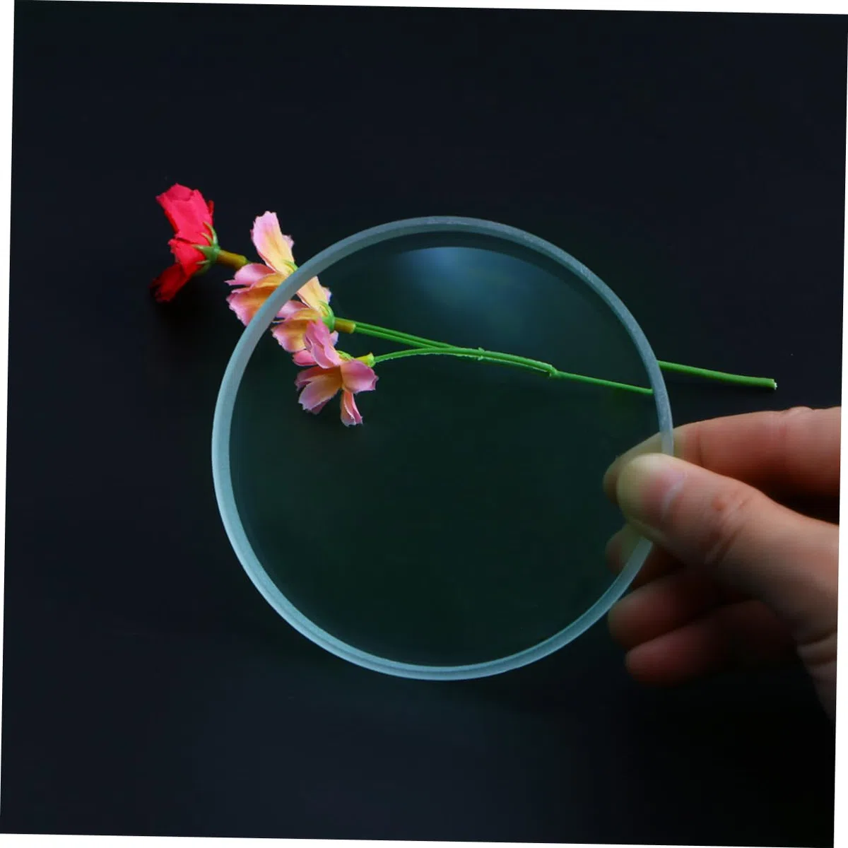 Lente Óptica de Vidrio Cóncava Doble, 10 CM de Diámetro, Bordes Biselados y Pulidos, Adecuado para Científicos en Laboratorio