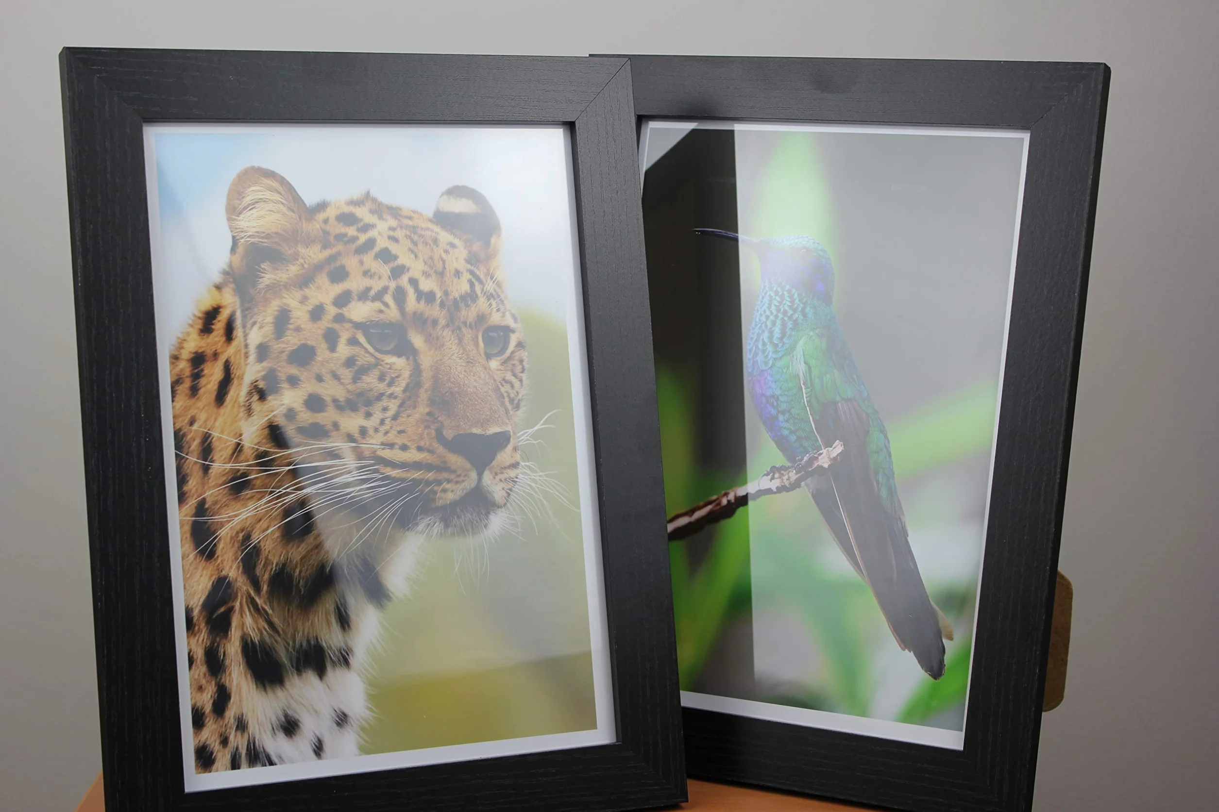 PPD Inkjet - A4 x 100 Hojas de Papel Fotográfico Brillante 260 g/m² - Calidad Profesional - Secado Instantáneo - Para Impresión de Inyección de Tinta - PPD-8-100