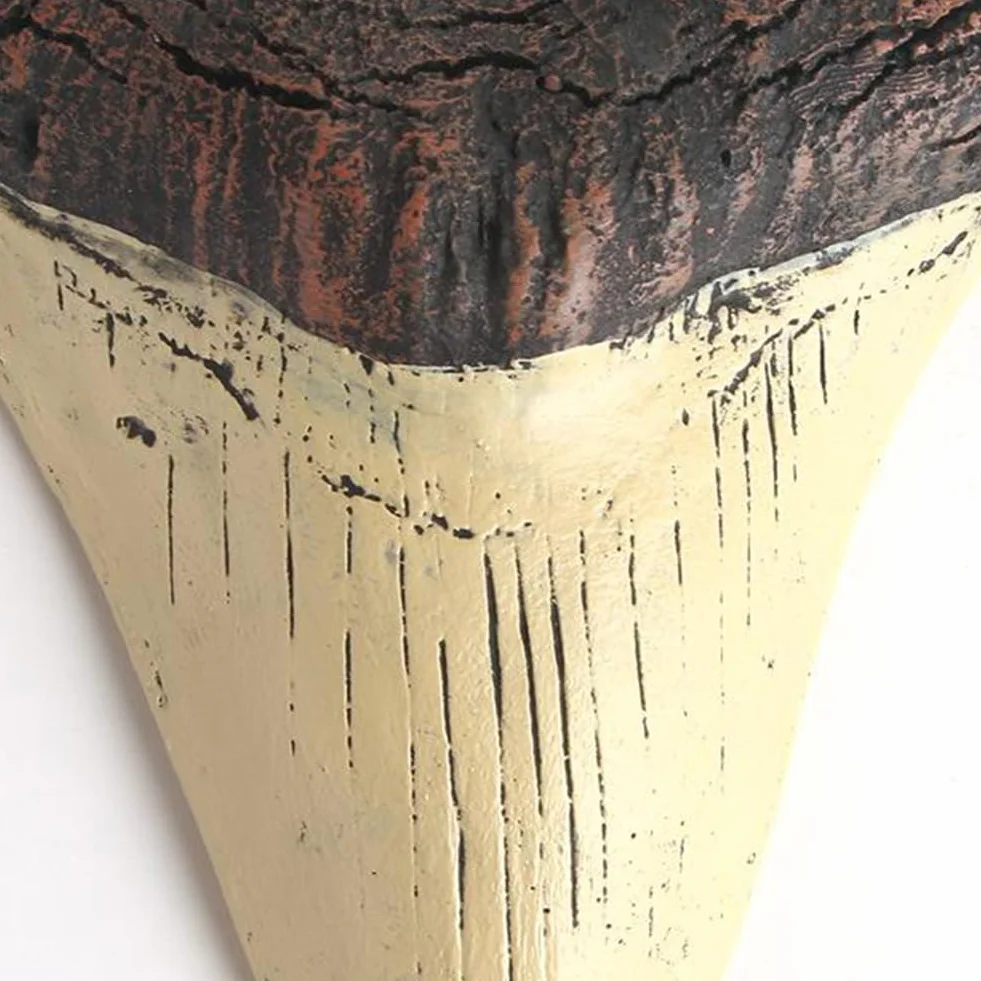 Diente de megalodón Gigante de 5 Pulgadas, réplica de Diente de tiburón fácil de Limpiar, decoración del hogar, Dientes de tiburón Beige, Accesorios de enseñanza de biología Marina fós