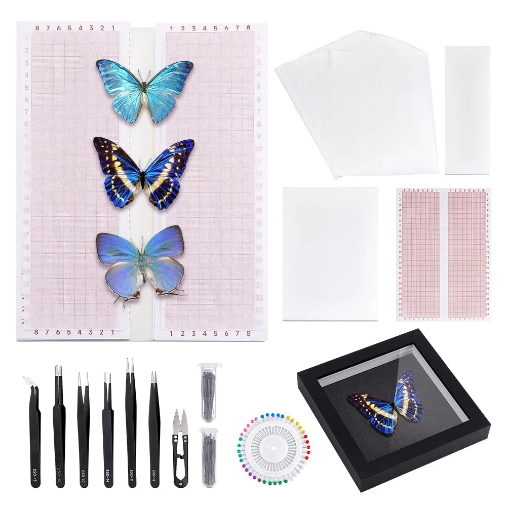 PH PandaHall Vitrina de insectos, kit de herramientas para muestras de insectos, caja de colección de insectos, kit de entomología, tablero de fijación de espuma, alfileres de mariposa, papel de