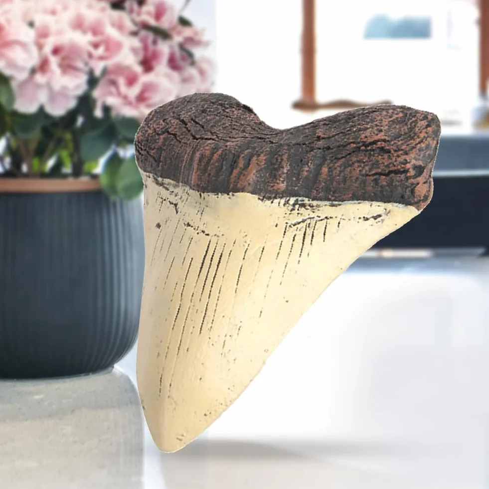 Diente de megalodón Gigante de 5 Pulgadas, réplica de Diente de tiburón fácil de Limpiar, decoración del hogar, Dientes de tiburón Beige, Accesorios de enseñanza de biología Marina fós