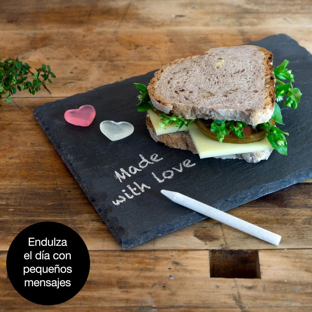 Moritz & Moritz 6x Platos Pizarra 22 x 16 cm Thyme con tiza para escribir - Platos de Pizarra Natural - Platos para aperitivos para personalizar y decorar