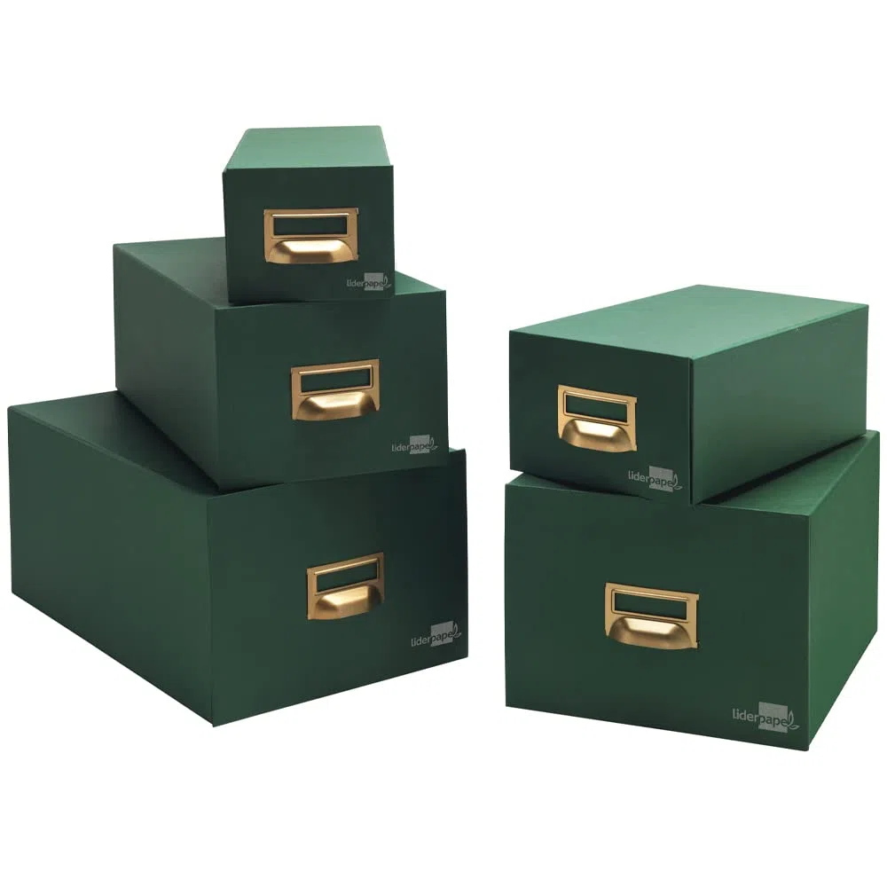 Liderpapel - Tv01 Fichero Con 1000 Fichas
