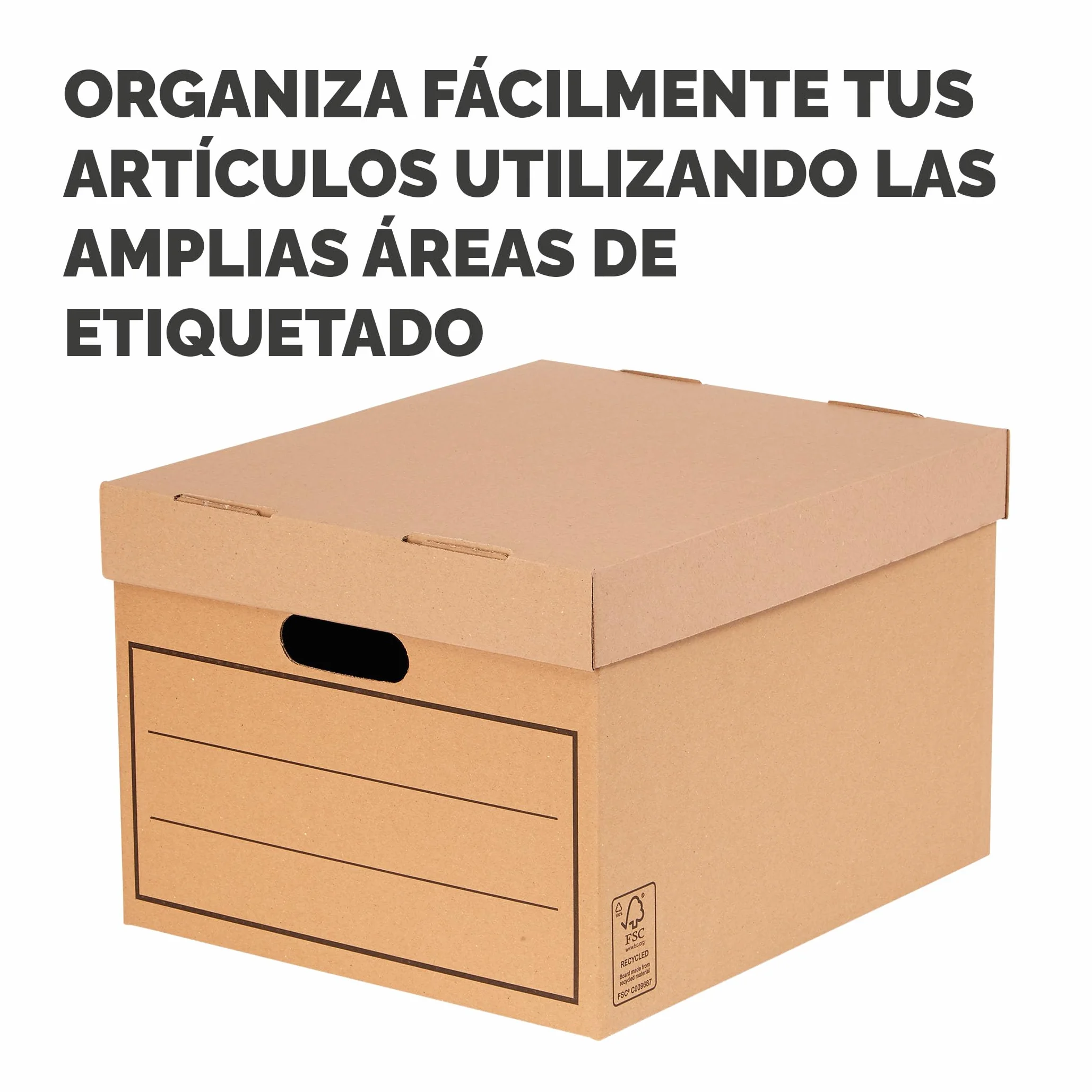 Bankers Box 00154, Caja de almacenamiento, marrón, pack de 10 unidades